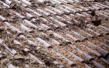 Puxey roof cleaning companies