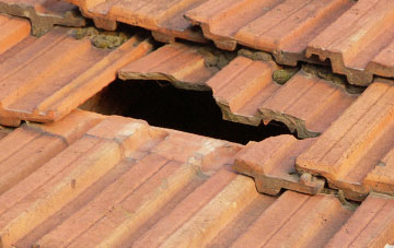 roof repair Puxey, Dorset