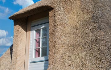 Puxey thatch roof disadvantages